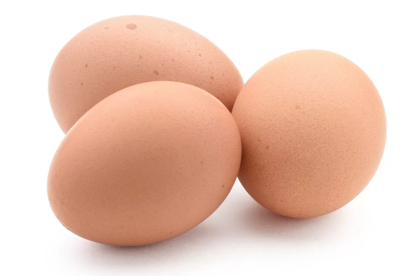 Rahsia Bentuk dan Warna Kulit Telur, Panduan Bijak Pilih Telur Segar