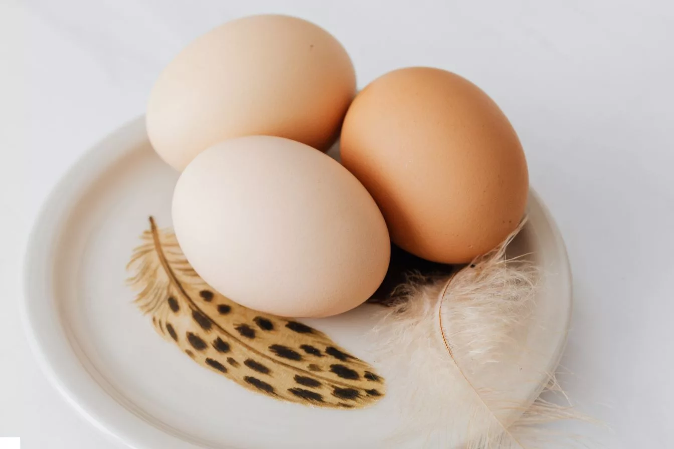 Rahsia Bentuk dan Warna Kulit Telur, Panduan Bijak Pilih Telur Segar