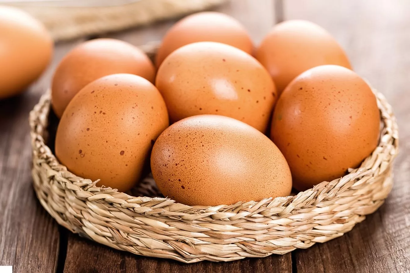 Rahsia Bentuk dan Warna Kulit Telur, Panduan Bijak Pilih Telur Segar
