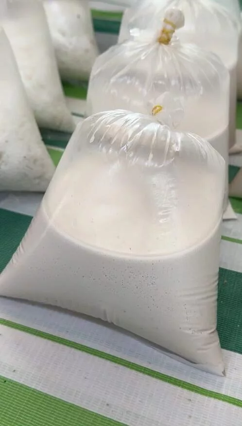 Santan Pekat: Rahsia Hebat Yang Membezakan Santan, Kelapa & Kerisik Dalam Dapur Melayu 9 Santan Pekat: Rahsia Hebat Yang Membezakan Santan, Kelapa & Kerisik Dalam Dapur Melayu