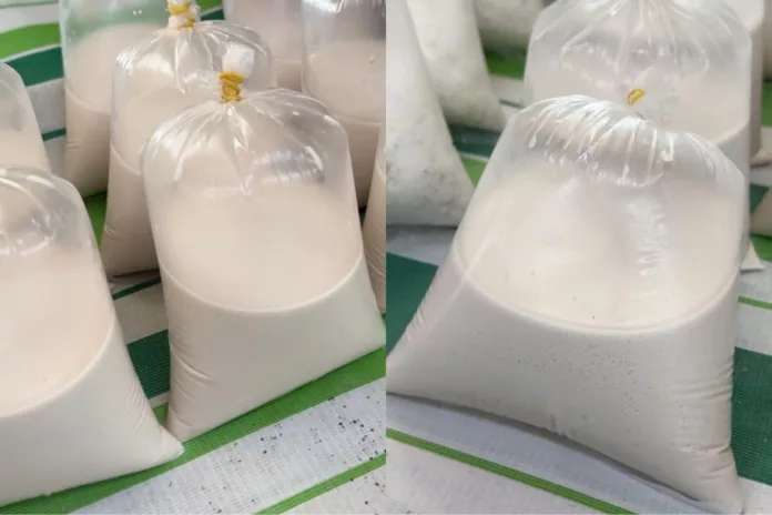 Aina Website Image (1)