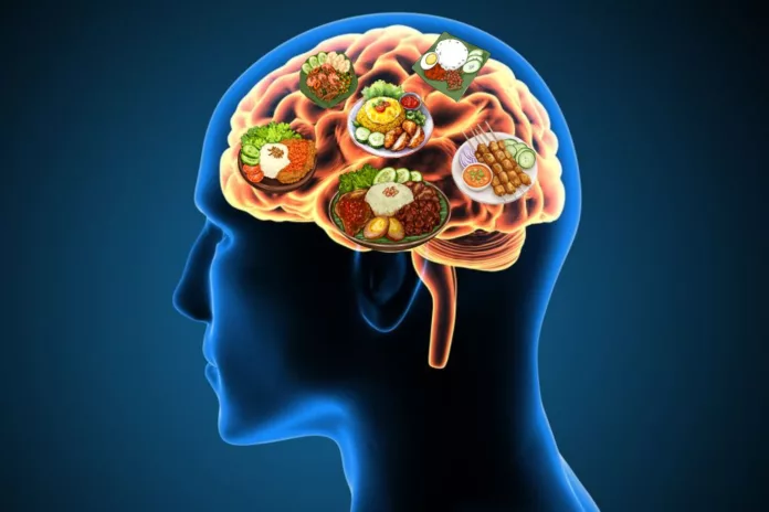 Aina Website Image (9)