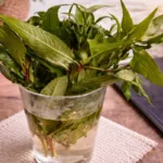 Cara Simpan Daun Kesum Agar Kekal Segar Lebih 2 Minggu. Petua Mudah & Berkesan