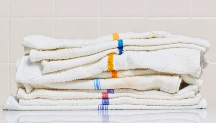 TOP IMAGE ELINA - 2025-12-09T130943.802