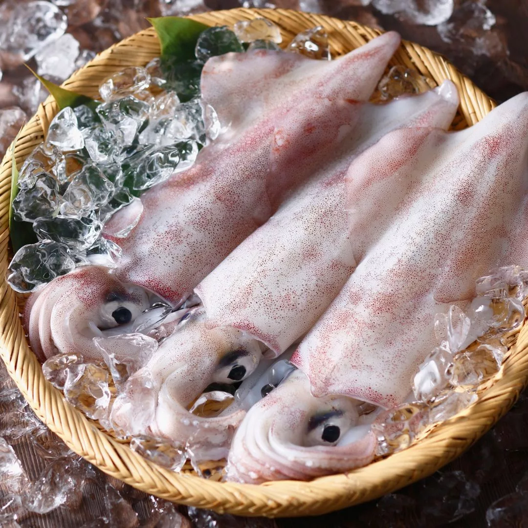 Sotong Masak Kicap Pedas, Resipi Padu Yang Menggoda & Wajib Cuba