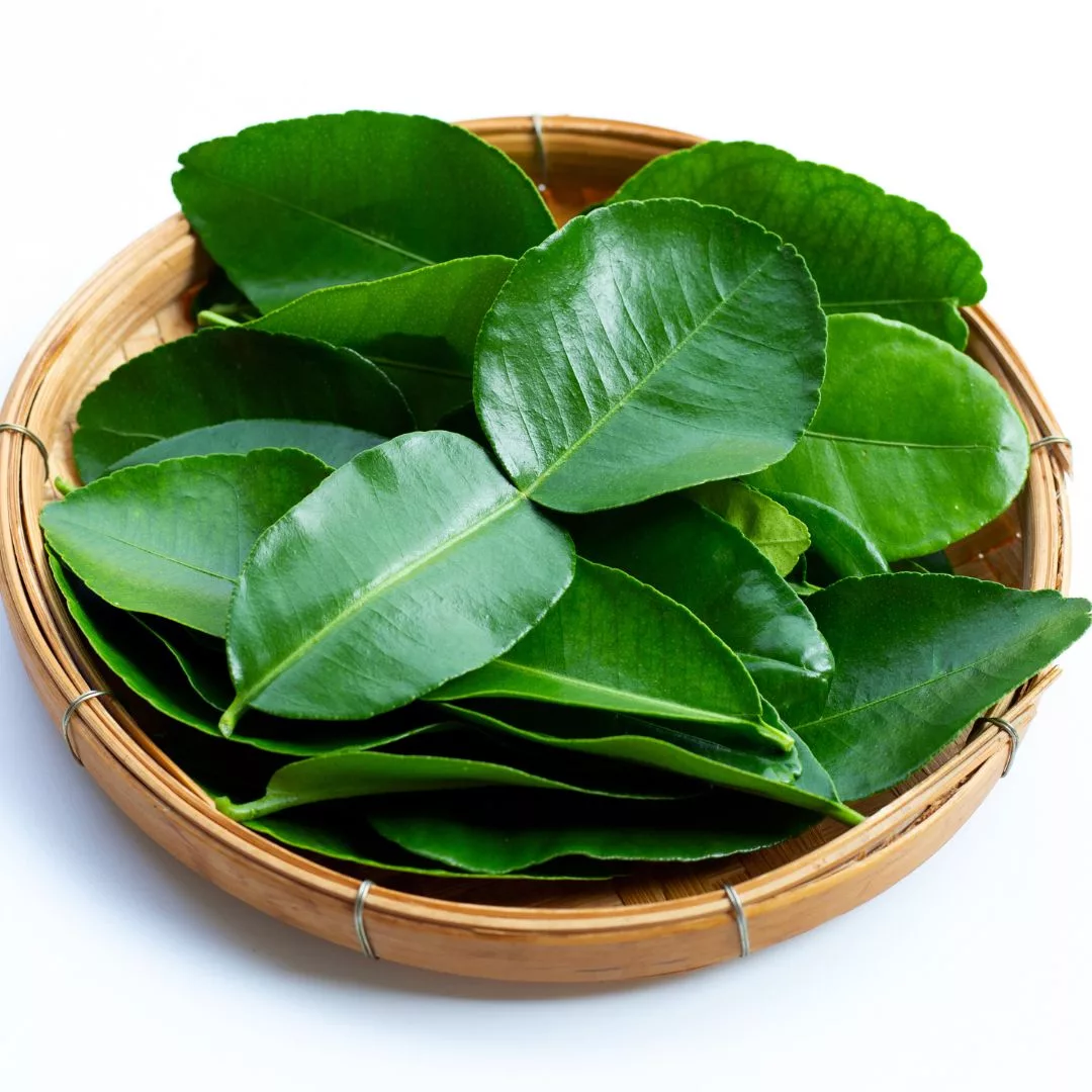 Nasi Goreng Tomyam Padu & Wangi, Resipi Pedas Yang Buat Terus Lapar! 7 Nasi Goreng Tomyam Padu & Wangi, Resipi Pedas Yang Buat Terus Lapar!