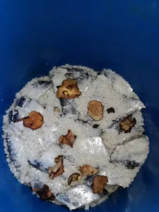 Buat Sendiri JERUK IKAN MASIN TENGGIRI Lembut, Dijamin Halal & Bersih, Tahan 6 Bulan!