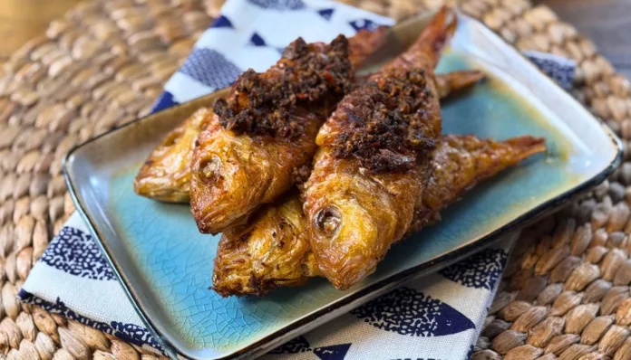 TOP IMAGE ELINA (10)