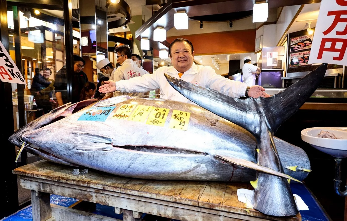 Usahawan Sushi Di Jepun, Pecah Rekod Tertinggi Bida TUNA SIRIP BIRU Gergasi Seberat 243 Kilogram Harga RM13.5 Juta!