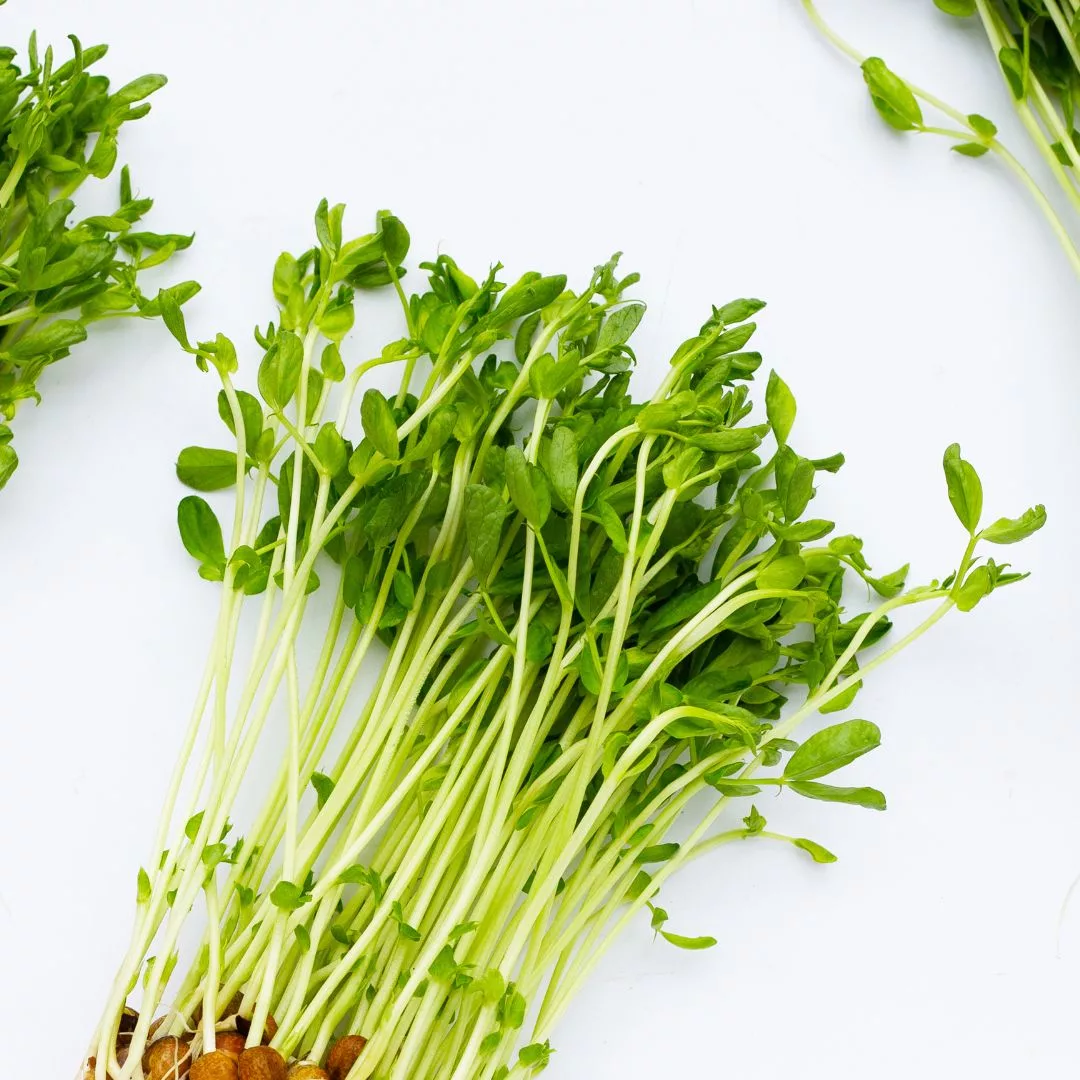 Tauge Hijau Goreng Tauhu, Lauk Ringkas & Penuh Khasiat Kegemaran Ramai