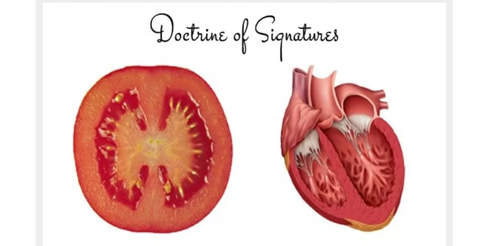Petua Jaga Jantung Sihat Elak Tersumbat, Berkesan Amalkan Minum JUS TOMATO Selalu