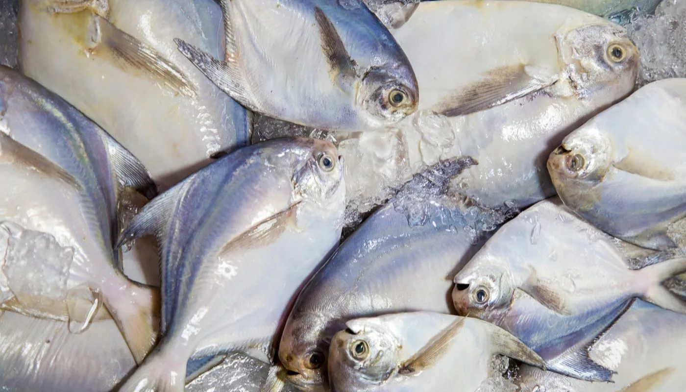 Bawal Sweet Sour Rangup & Padu, Rahsia Kuah Masam Manis Paling Menggoda Selera!