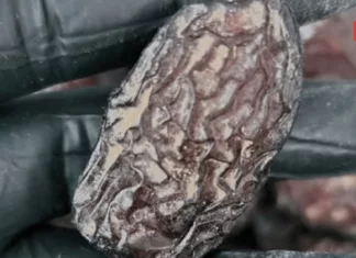 Baik Kurma Fresh, Sejuk Beku Atau Kering, Tolong BASUH DULU Sebelum Makan