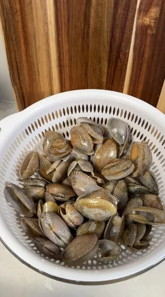 Cara Bersihkan Lala Paling Mudah & Berkesan Guna Cili Padi Dan Garam