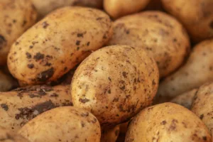 Kentang: Kisah Menakjubkan yang Pernah Menyelamatkan Dunia daripada Kebuluran