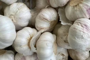 Khasiat Bawang Putih: Rahsia Hebat yang Ramai Tak Sedar untuk Kesihatan Anda! 10 Khasiat Bawang Putih: Rahsia Hebat yang Ramai Tak Sedar untuk Kesihatan Anda!