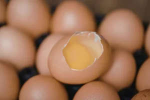 Makan Telur Waktu Demam: Fakta Mengejutkan vs Mitos ‘Panaskan Badan’