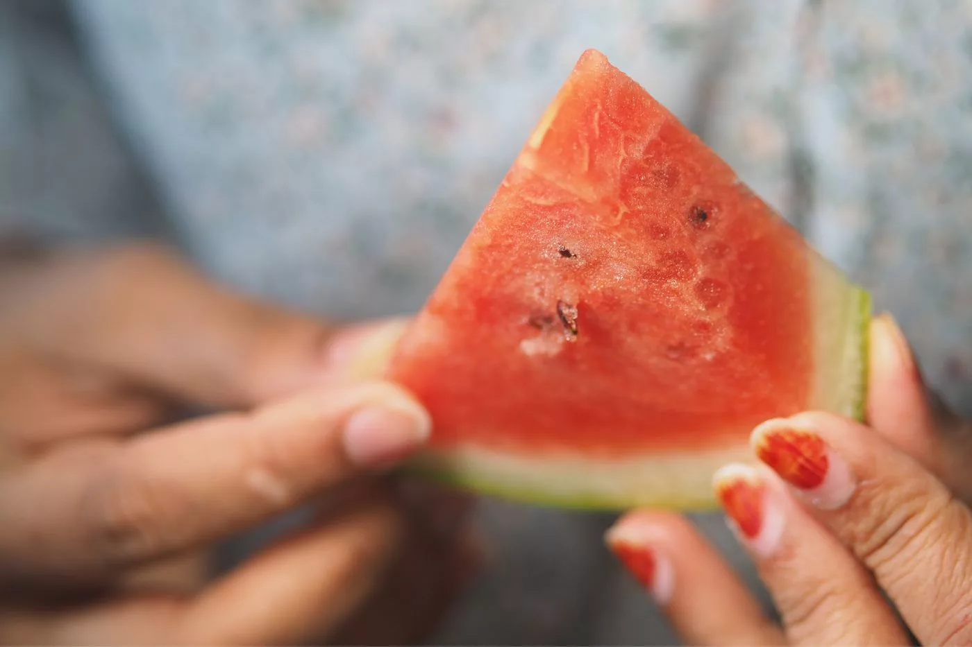 Tembikai Waktu Malam: Mitos Menakutkan Atau Fakta Mengejutkan?