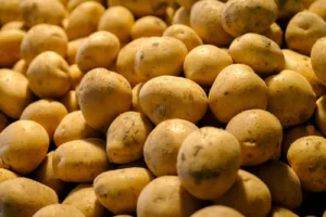 Kentang: Kisah Menakjubkan yang Pernah Menyelamatkan Dunia daripada Kebuluran