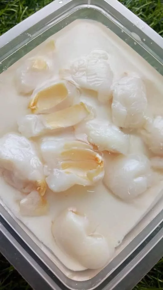 Puding Laici Berkuah Paling Segar & Nikmat. Resipi Mudah Wajib Cuba!