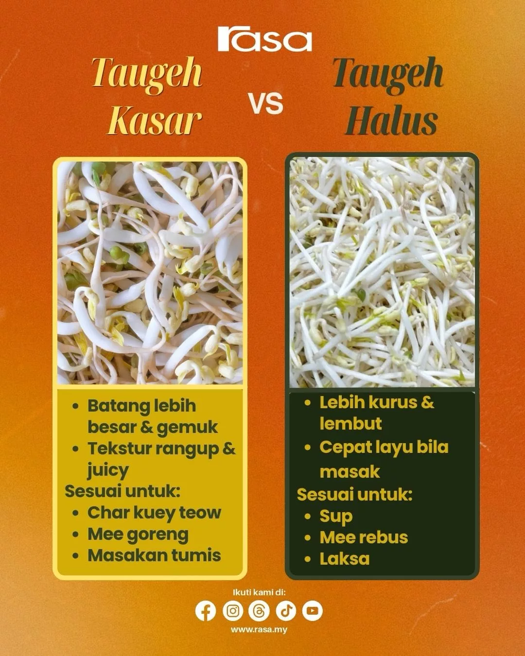 Perbezaan Bahan Dapur Yang Mengelirukan: Panduan Lengkap & Mudah Faham