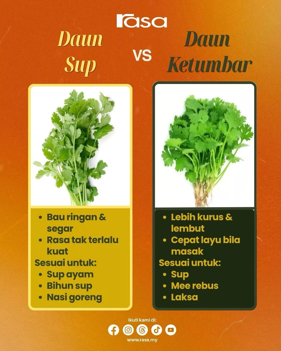 Perbezaan Bahan Dapur Yang Mengelirukan: Panduan Lengkap & Mudah Faham