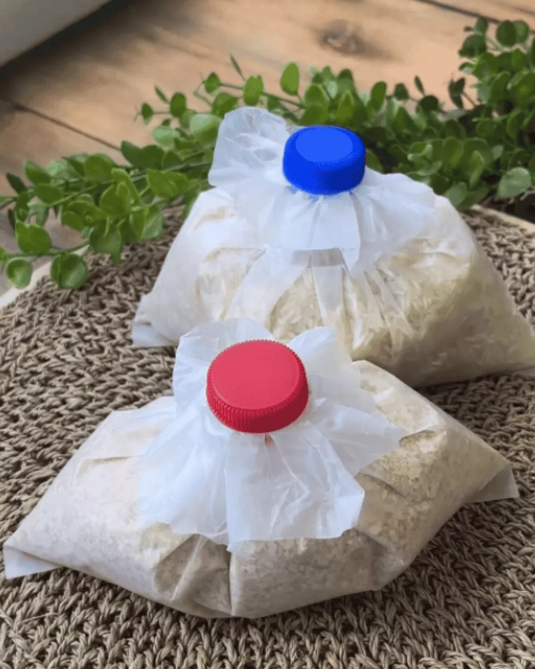 Trik Simpan Bungkusan Plastik Makanan, Kedap Udara Tak Masuk Angin 6 Trik Simpan Bungkusan Plastik Makanan, Kedap Udara Tak Masuk Angin