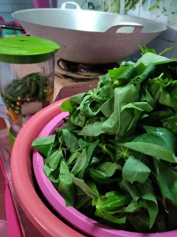 Rendang Pucuk Ubi Kayu Sedap, Kena Kacau Sampai Betul Betul Kering