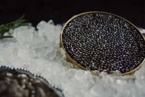 Caviar Paling Mahal? Ini Fakta Mengejutkan Tentang Telur Ikan Kayangan Yang Buat Ramai Teruja!
