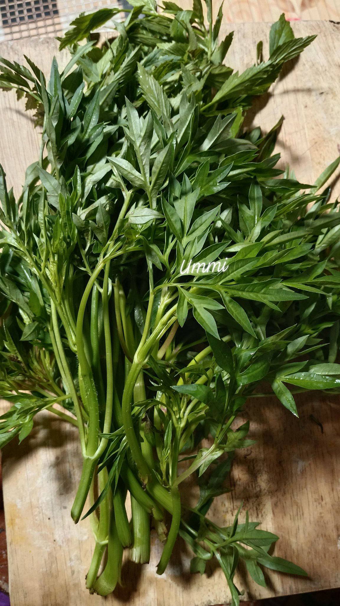 Simple Tapi ‘Kick’! Kerabu Ulam Raja & Daun Selom Ni Buat Bertambah Nasi 13 Simple Tapi ‘Kick’! Kerabu Ulam Raja & Daun Selom Ni Buat Bertambah Nasi
