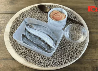 Cara Cepat Nyahbeku Ikan Guna Cuka & Garam Ambil Masa 10-15 Minit Sahaja!