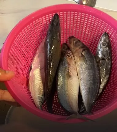 Cara Cepat Nyahbeku Ikan Guna Cuka & Garam Ambil Masa 10-15 Minit Sahaja! 6 Cara Cepat Nyahbeku Ikan Guna Cuka & Garam Ambil Masa 10-15 Minit Sahaja!