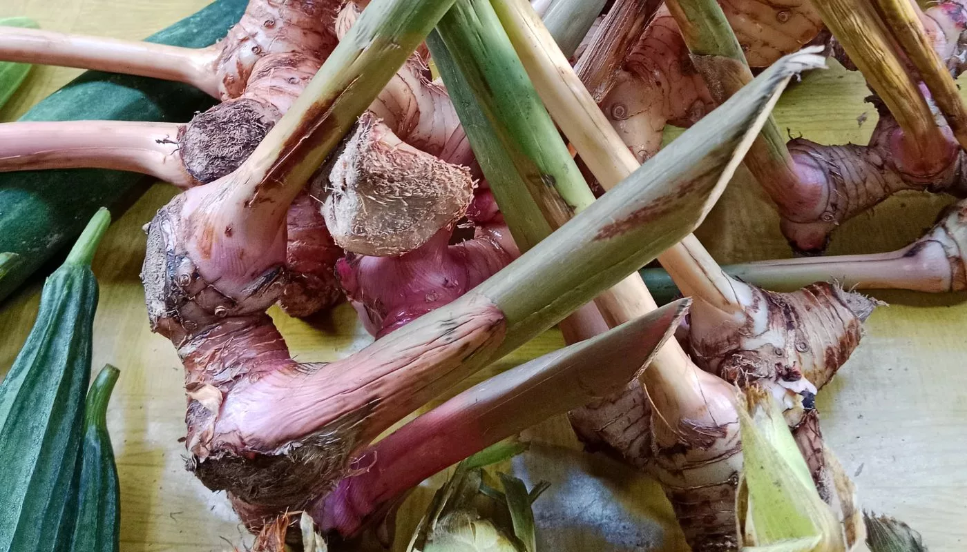 Gulai Lengkuas Udang Paling Sedap & Menyentuh Hati Untuk Hari Ibu