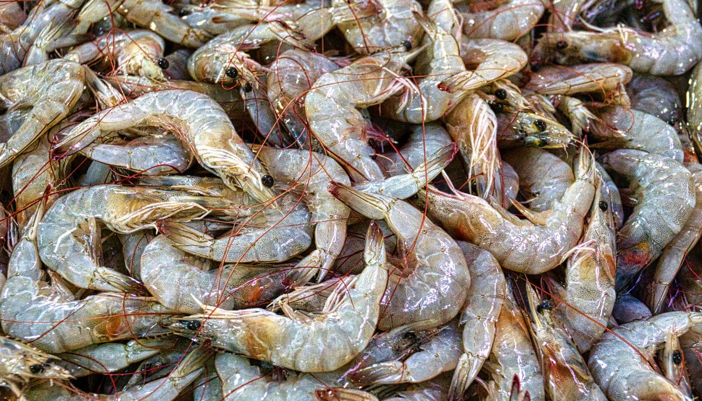 Gulai Lengkuas Udang Paling Sedap & Menyentuh Hati Untuk Hari Ibu