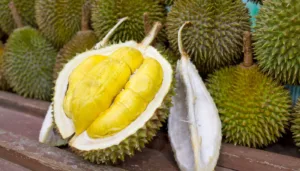 Kenapa Tiada Buah Lain Mampu Rampas Gelaran Raja Buah Daripada Durian?