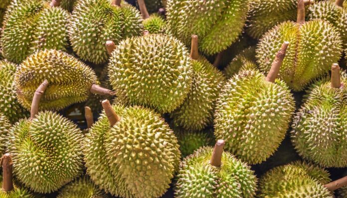 Kenapa Tiada Buah Lain Mampu Rampas Gelaran Raja Buah Daripada Durian?
