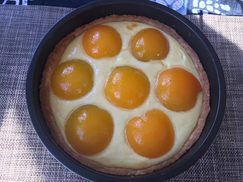 Resipi Pencuci Mulut Apricot Custard Tart Sedap, Lemak Manis & Cantik Berkilat 13 Resipi Pencuci Mulut Apricot Custard Tart Sedap, Lemak Manis & Cantik Berkilat
