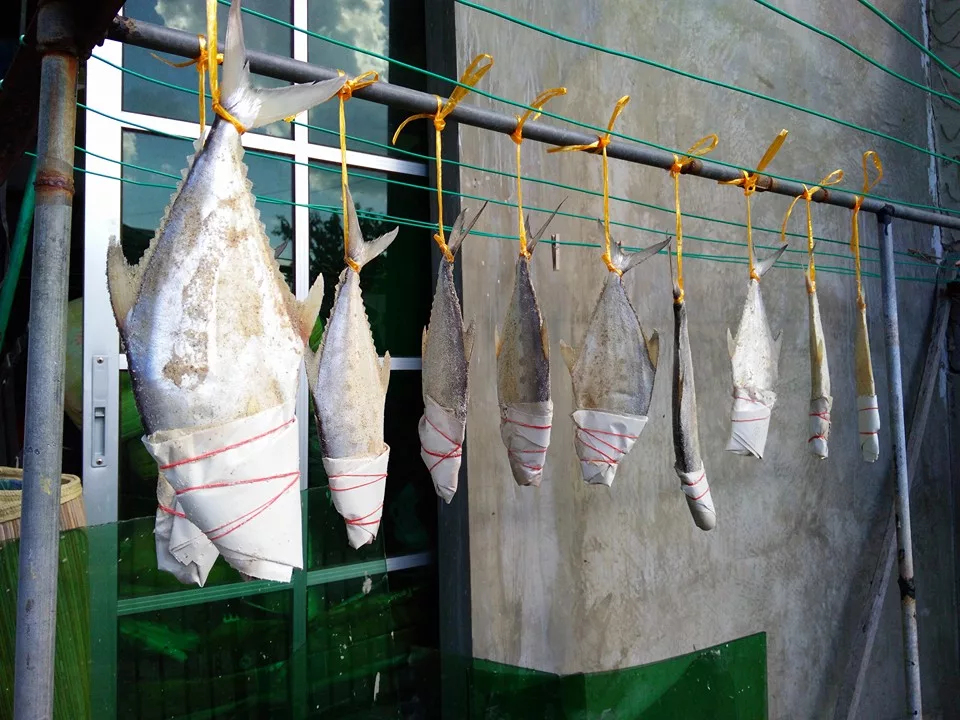 Ikan Talang Masin Homemade Paling Mudah. Rahsia Jimat & Menjadi Dengan Modal Bawah RM20