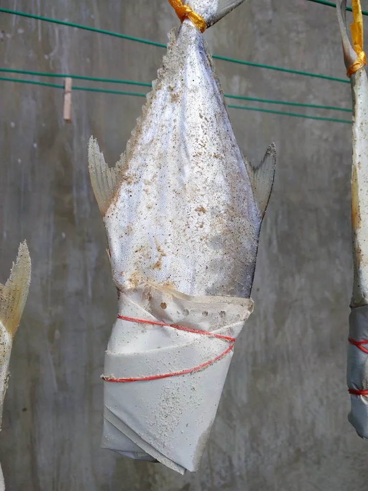 Ikan Talang Masin Homemade Paling Mudah. Rahsia Jimat & Menjadi Dengan Modal Bawah RM20