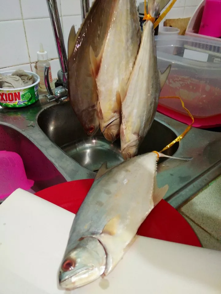 Ikan Talang Masin Homemade Paling Mudah. Rahsia Jimat & Menjadi Dengan Modal Bawah RM20