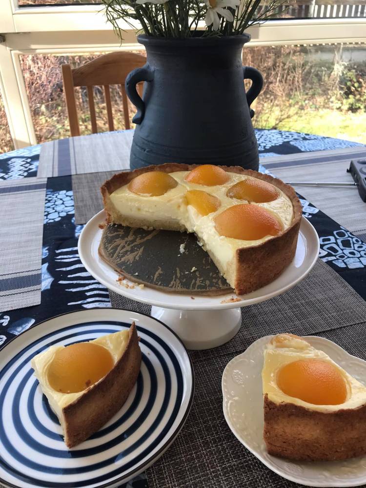 Resipi Pencuci Mulut Apricot Custard Tart Sedap, Lemak Manis & Cantik Berkilat 15 Resipi Pencuci Mulut Apricot Custard Tart Sedap, Lemak Manis & Cantik Berkilat