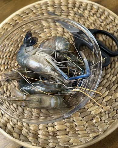 Cara Siang Udang Galah Dengan Betul, Supaya Benar-Benar Bersih & Rasa Lebih Sedap