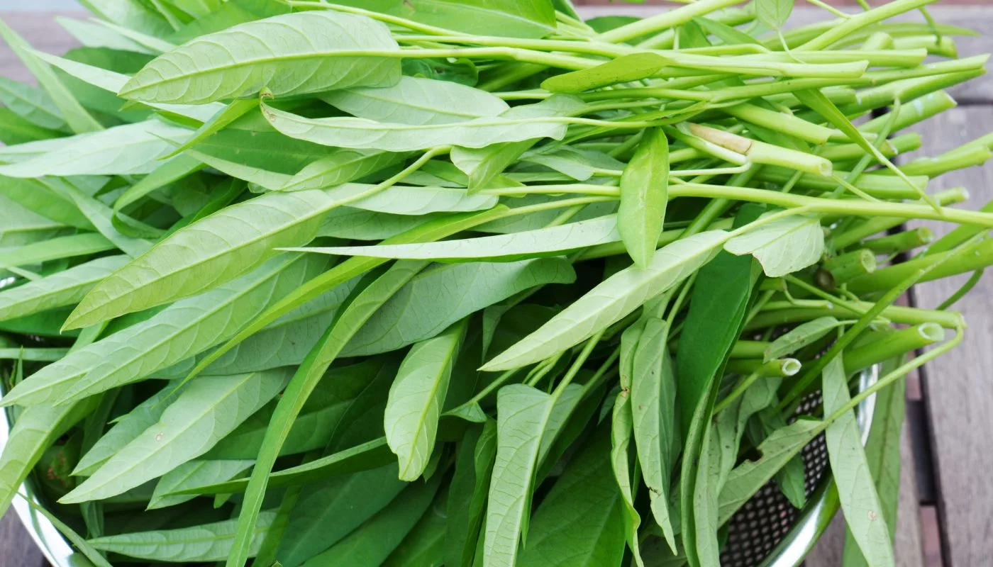 Kangkung Goreng Crispy Paling Rangup & Ketagih, Resipi Mudah Yang Ramai Terkejut! 6 Kangkung Goreng Crispy Paling Rangup & Ketagih, Resipi Mudah Yang Ramai Terkejut!