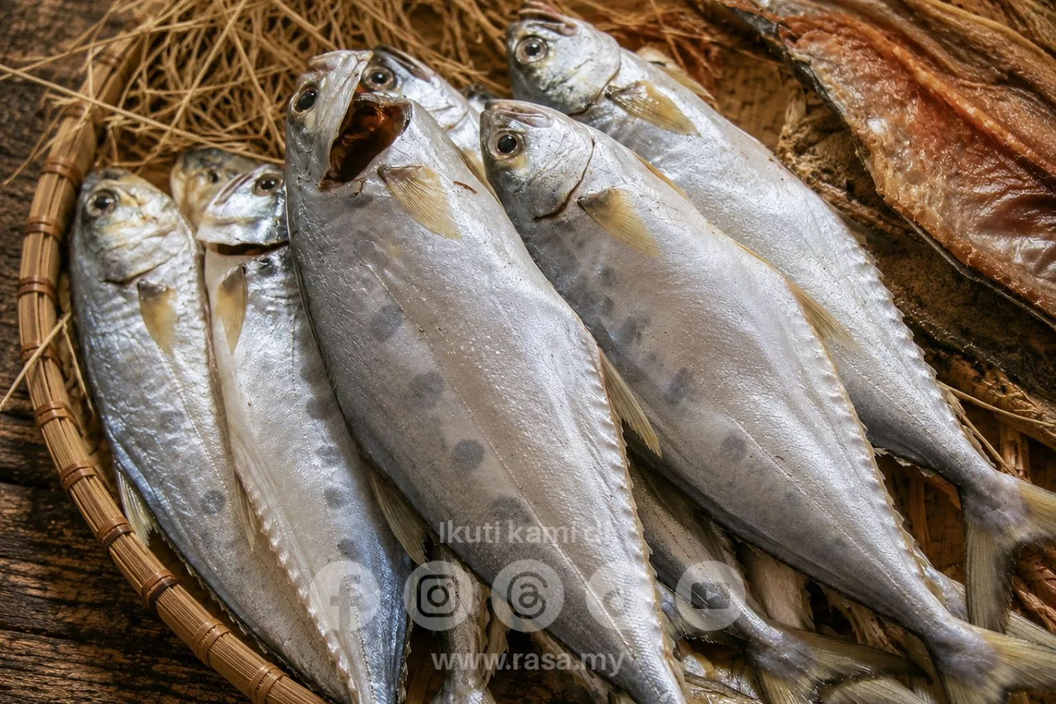 Ikan Talang Masin Homemade Paling Mudah. Rahsia Jimat & Menjadi Dengan Modal Bawah RM20