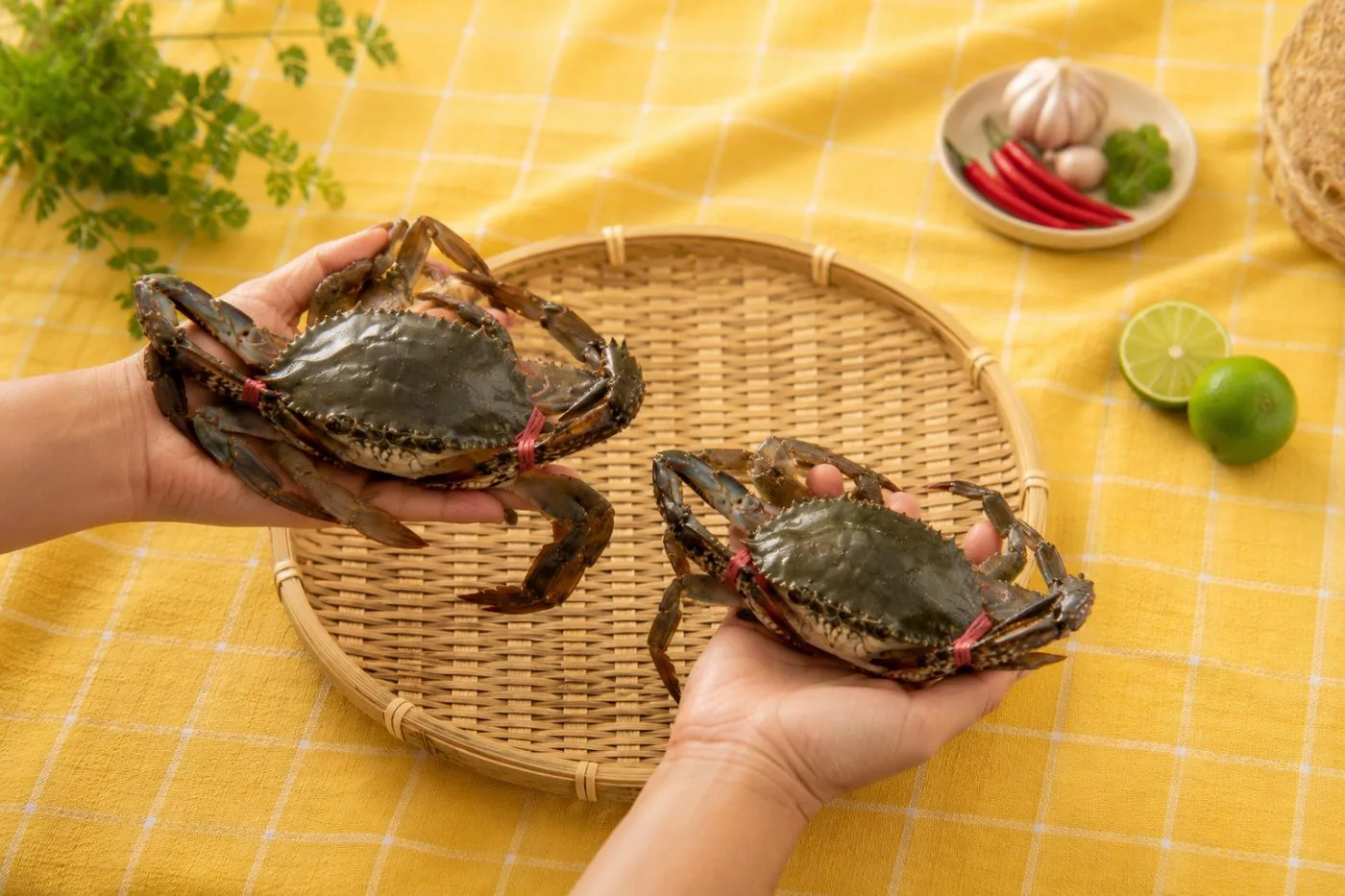 Cara Pilih Ketam Segar: 10 Tip Bijak Dapat Isi Padat & Manis Baru Puas Makan! 10 Cara Pilih Ketam Segar: 10 Tip Bijak Dapat Isi Padat & Manis Baru Puas Makan!