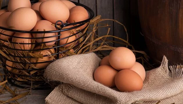 Telur 'Bintang Utama' Musim Piala Dunia, Cepat Dimasak, Tinggi Protein & Mesra Poket 6 Telur ‘Bintang Utama’ Musim Piala Dunia, Cepat Dimasak, Tinggi Protein & Mesra Poket