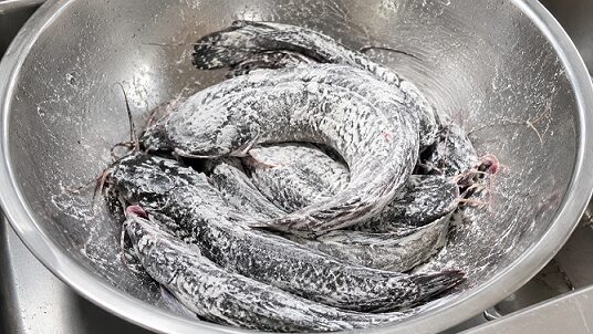 Ini 5 Bahan Dapur Berkesan Hilangkan Bau Hanyir Ikan Air Tawar 9 Ini 5 Bahan Dapur Berkesan Hilangkan Bau Hanyir Ikan Air Tawar
