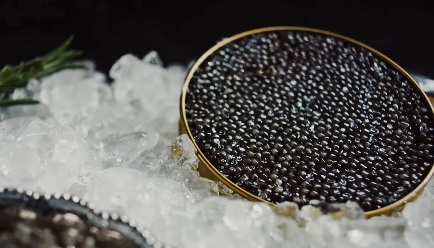 Kenapa Caviar Sangat Mahal? 10 Fakta Menarik Tentang Caviar Sempena World Caviar Day