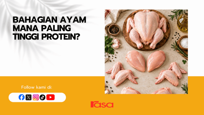 Bahagian Ayam Mana Paling Tinggi Protein?