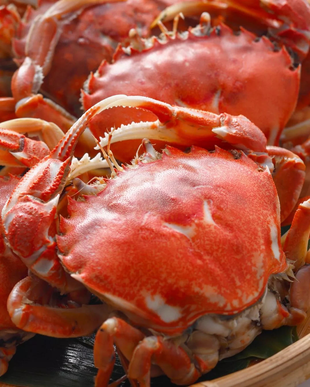 5 Sebab Sup Ketam Bagus, Pilihan Berkhasiat Untuk Tenaga Ketika Sakit 3 5 Sebab Sup Ketam Bagus, Pilihan Berkhasiat Untuk Tenaga Ketika Sakit